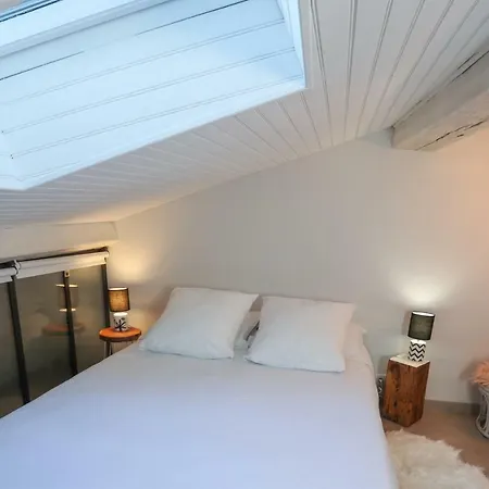 6 Rue D'aubuisson Tuluza