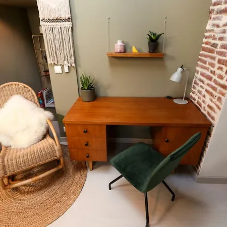 6 Rue D'aubuisson Тулуза